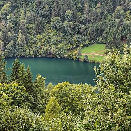 Apartament Afritz Am *